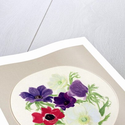 Anemones by Frances Buckland