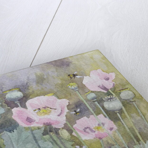 Pink poppies with bees by Rosalie Bullock