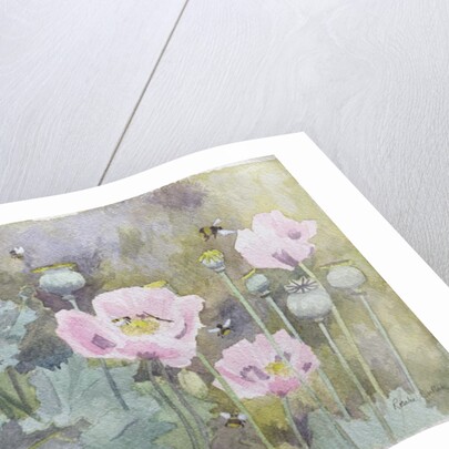Pink poppies with bees by Rosalie Bullock