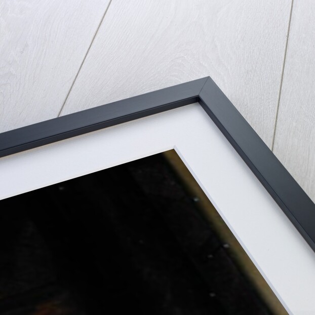 The Nativity, 1639 by Jacques Stella