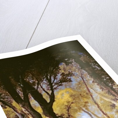 The Chateau of Louveciennes by Josephine Bowes