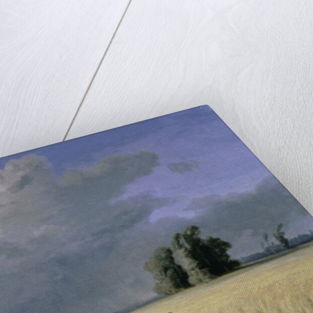 Cornfield near Calais by Josephine Bowes