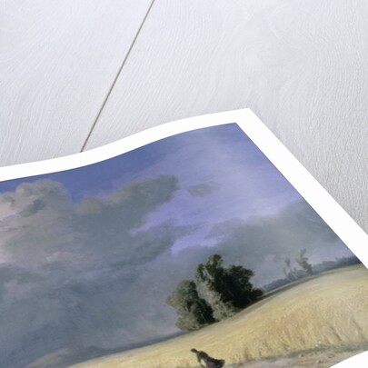 Cornfield near Calais by Josephine Bowes