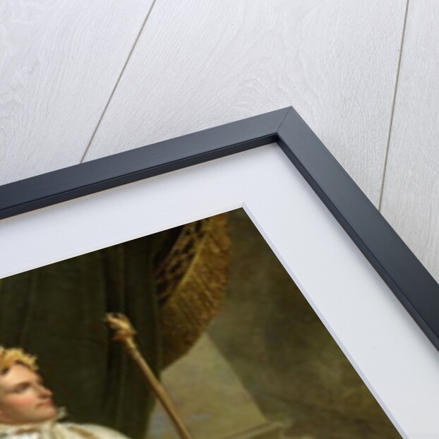 Portrait of Napoleon Bonaparte by Anne Louis Girodet de Roucy-Trioson