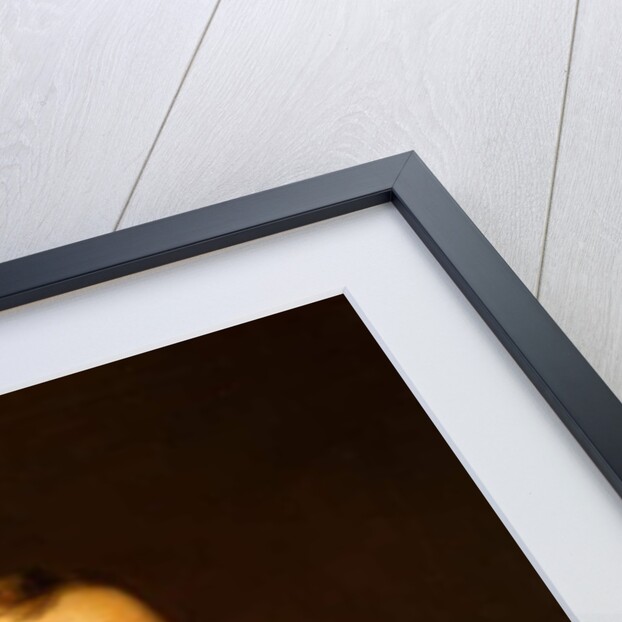 Luke Howard, 19th century by John Opie