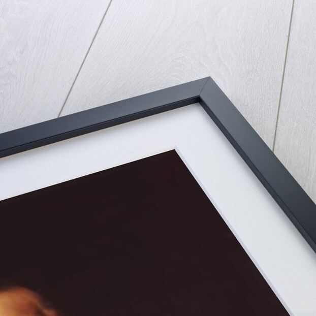 Lord Thomas Brassey by Frank Holl