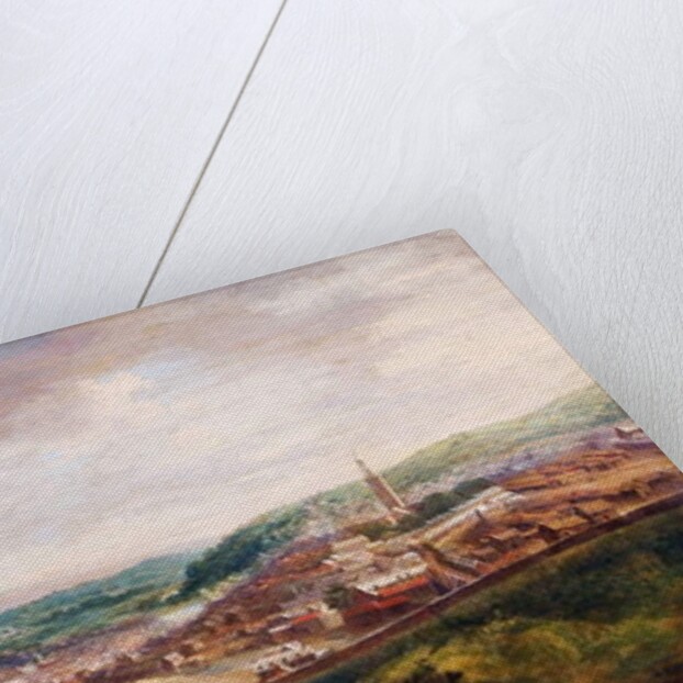 View of Cork, 1780 by Nathaniel Grogan