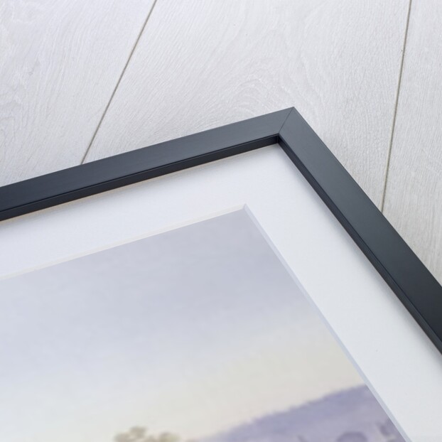 Pheasants in Flight by Carl Donner