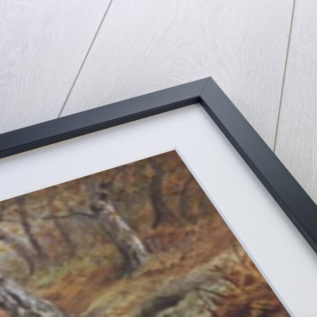 Black Cock Grouse by a stream by Carl Donner