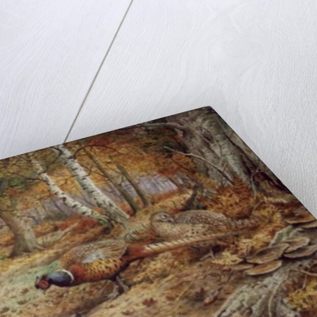 Cock Pheasant and Sulphur Tuft Fungi, by Carl Donner