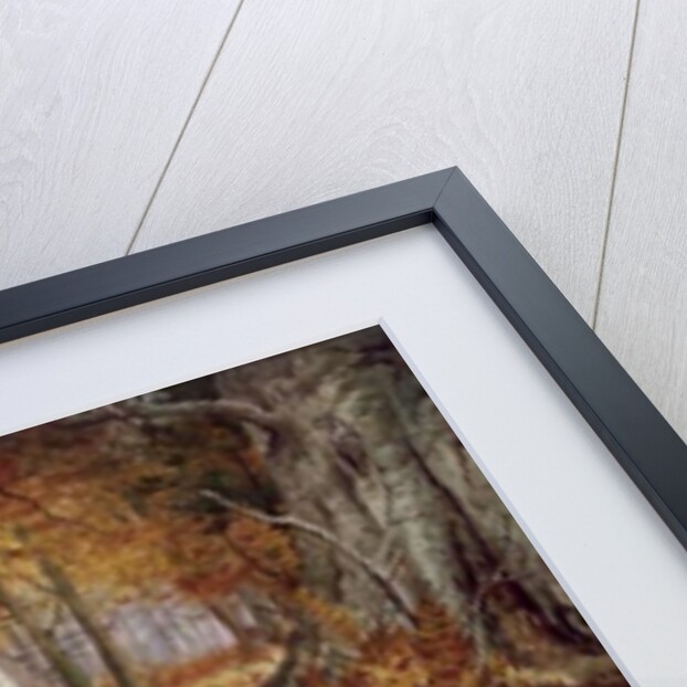 Cock Pheasant and Sulphur Tuft Fungi, by Carl Donner