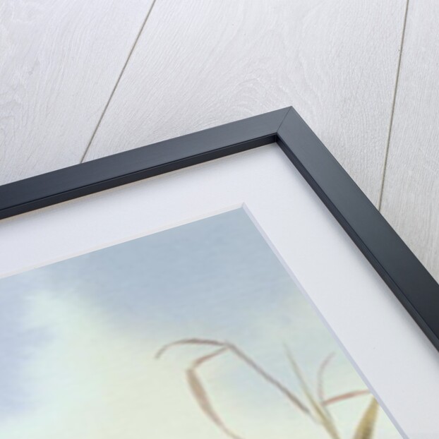 Kingfisher by Carl Donner