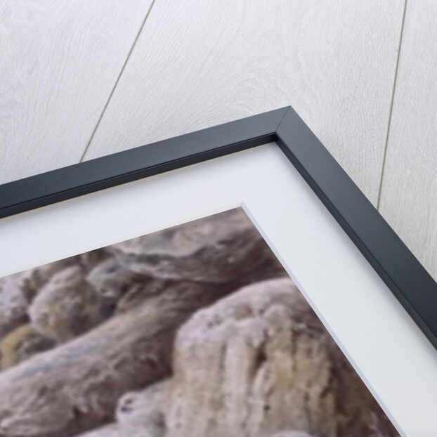 Ptarmigan in snow covered landscape by Carl Donner