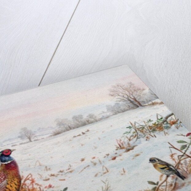 Pheasant and bramblefinch in the snow by Carl Donner