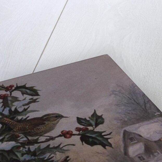 Wren in Hollybush by a cottage by Carl Donner