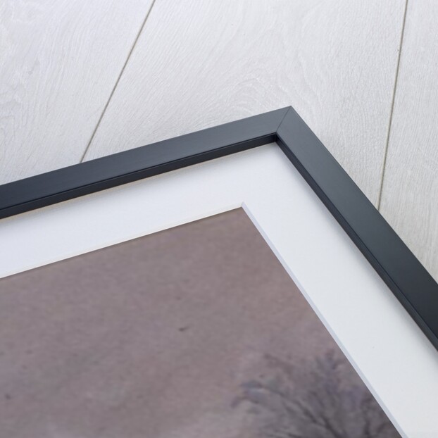 Wren in Hollybush by a cottage by Carl Donner