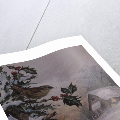 Wren in Hollybush by a cottage by Carl Donner