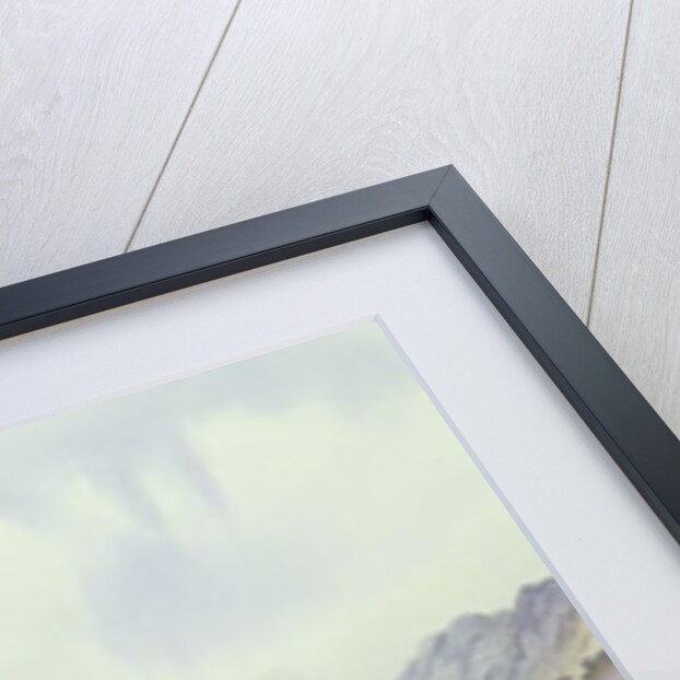 Pair of Red Kites in an Oak Tree by Carl Donner