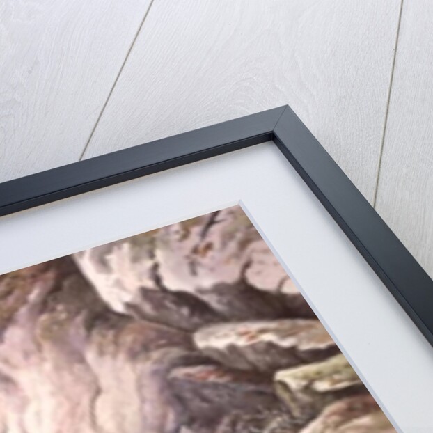 Golden Eagles at their Eyrie by Carl Donner