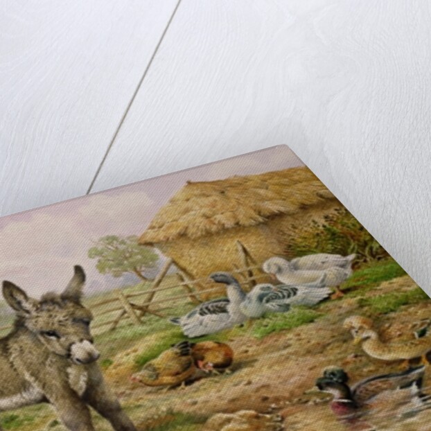 Donkey and Farmyard Fowl by Carl Donner