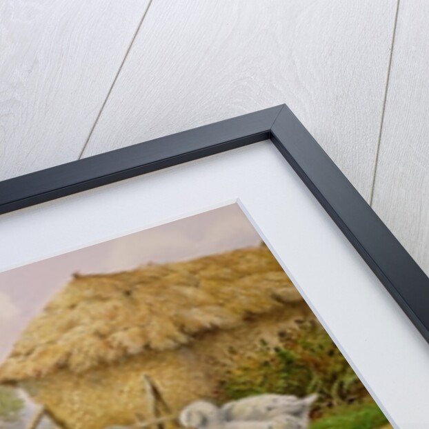 Donkey and Farmyard Fowl by Carl Donner