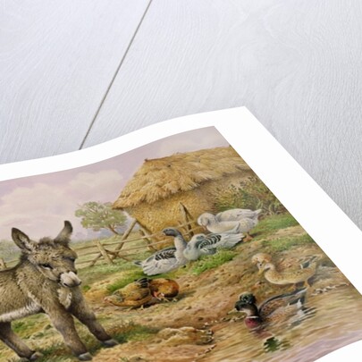 Donkey and Farmyard Fowl by Carl Donner