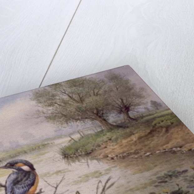 Kingfishers on the Riverbank by Carl Donner