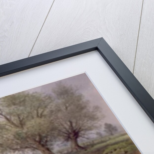 Kingfishers on the Riverbank by Carl Donner