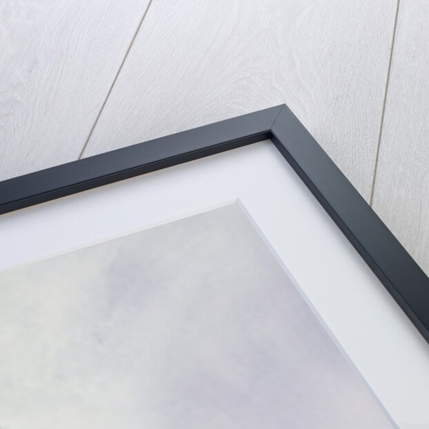 Gyrfalcon by Carl Donner