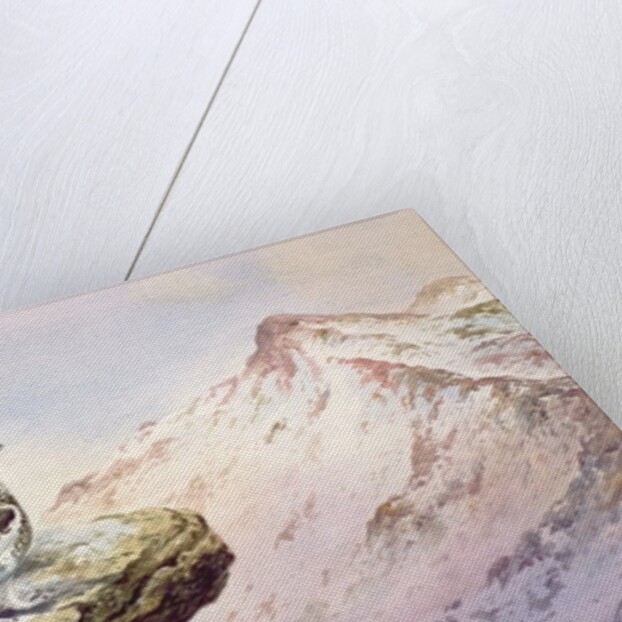 Ptarmigan on the High Tops by Carl Donner