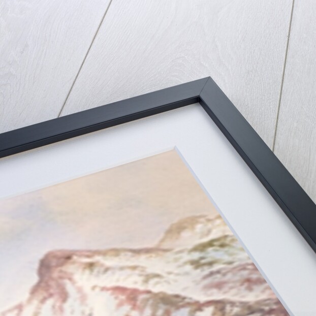 Ptarmigan on the High Tops by Carl Donner