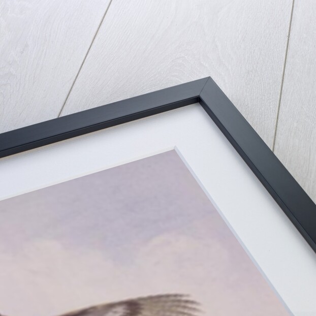 Flushed Partridges by Carl Donner