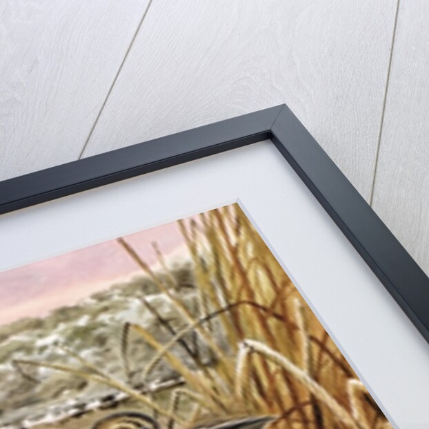 Mallards in a Quiet Corner by Carl Donner