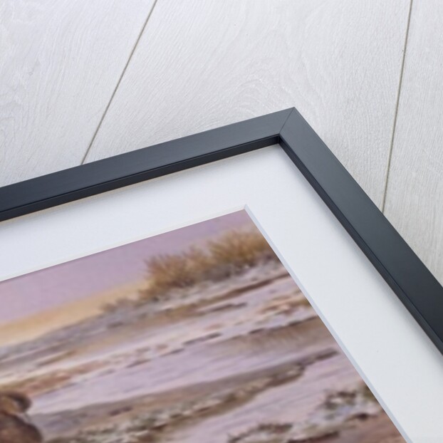 Daybreak on the Washes - Wigeon by Carl Donner