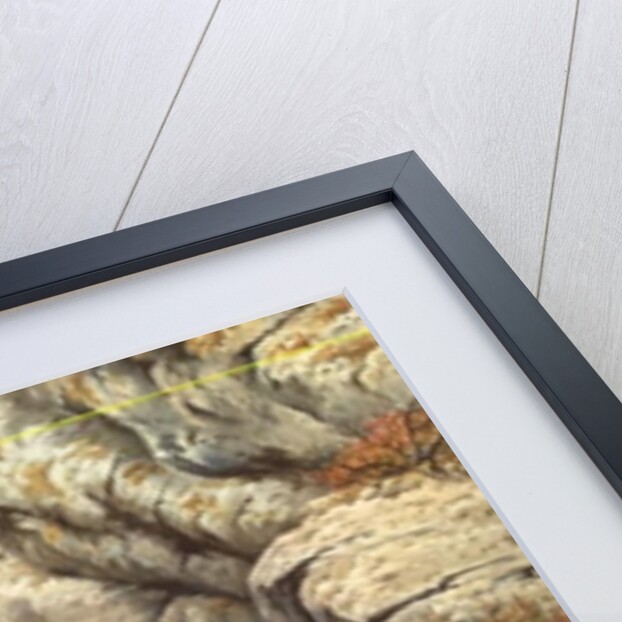 Golden Eagles at Eyrie by Carl Donner