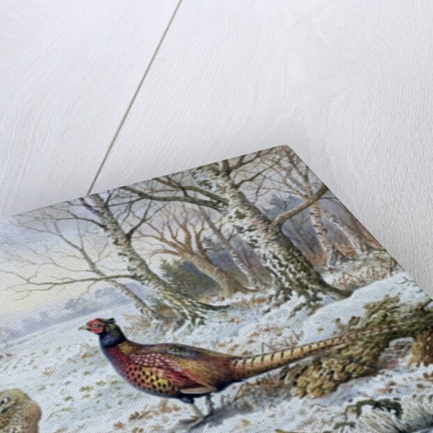 Pair of Pheasants with a Wren by Carl Donner