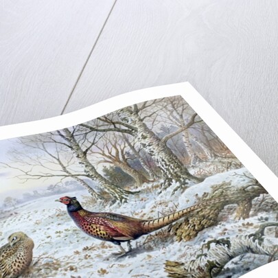 Pair of Pheasants with a Wren by Carl Donner