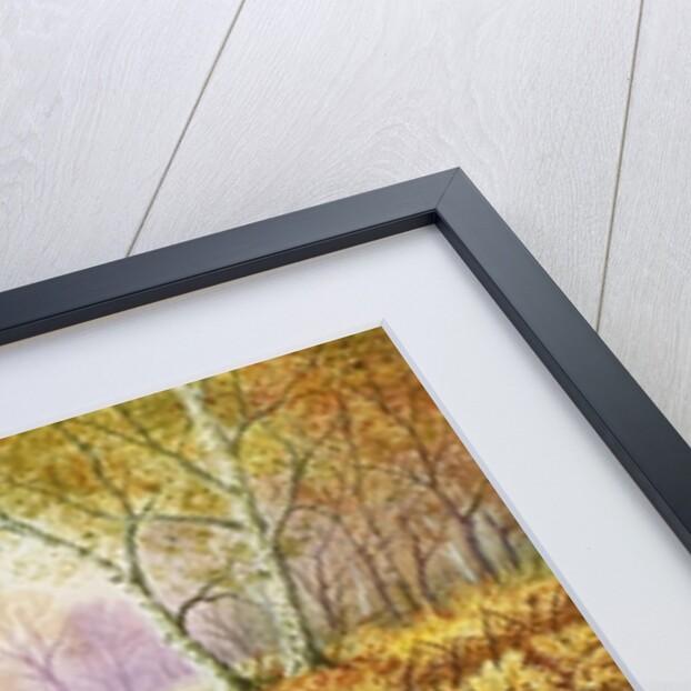 Pheasants in Woodland by Carl Donner