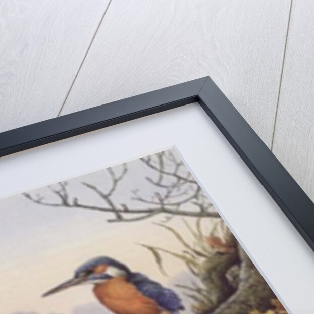 Kingfisher: Autumn River Scene by Carl Donner