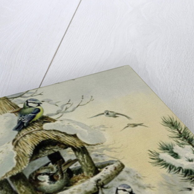 Winter Bird Table with Blue Tits, Great Tits, House Sparrows and a Robin by Carl Donner