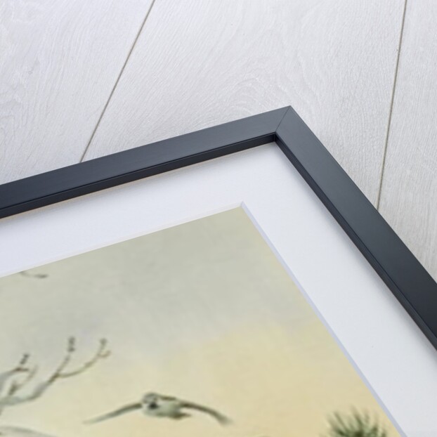 Winter Bird Table with Blue Tits, Great Tits, House Sparrows and a Robin by Carl Donner