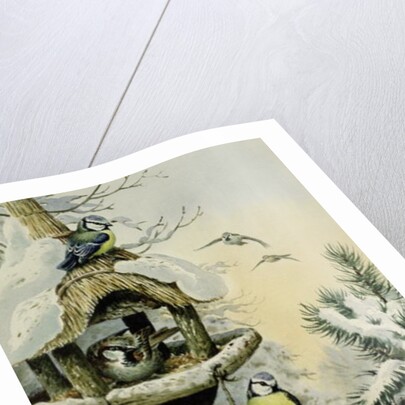 Winter Bird Table with Blue Tits, Great Tits, House Sparrows and a Robin by Carl Donner