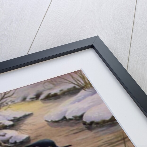 Hooded Mergansers on a Pool by Carl Donner