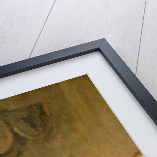 The last word and testament of Don Quixote, from Cervantes' 'Don Quixote' by John Vanderbanck