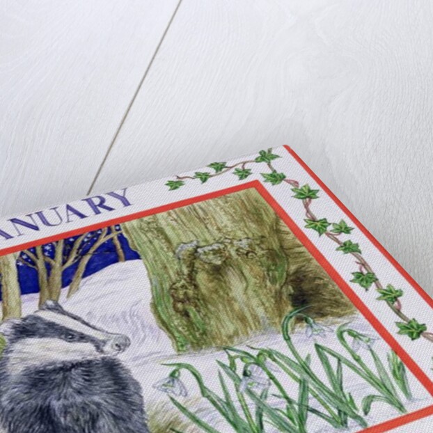 January by Catherine Bradbury