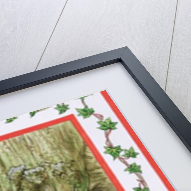 January by Catherine Bradbury