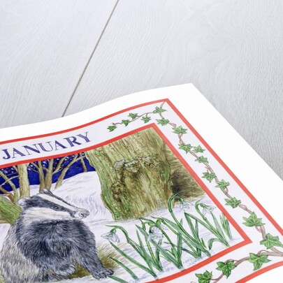 January by Catherine Bradbury