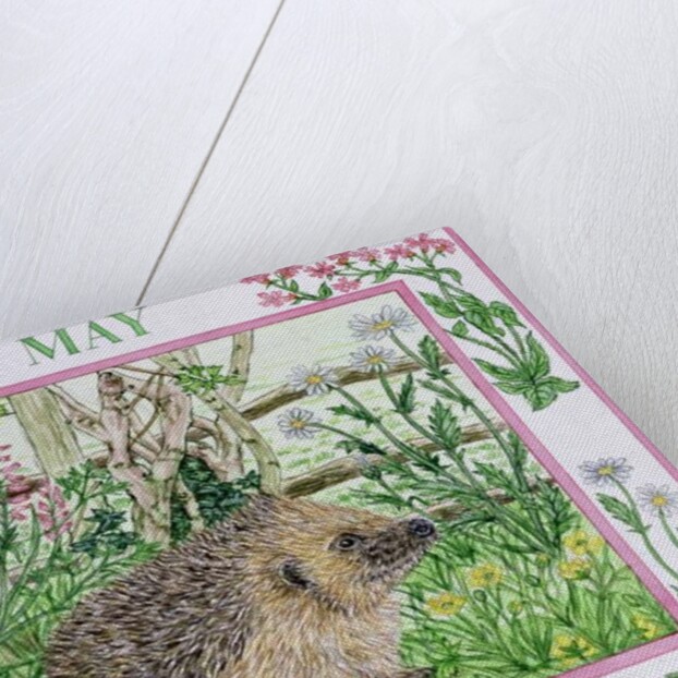 May by Catherine Bradbury