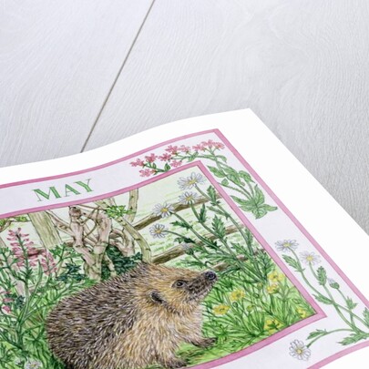 May by Catherine Bradbury