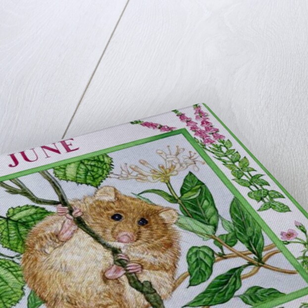June by Catherine Bradbury